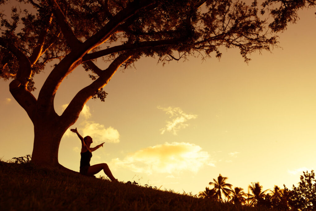 Woman sitting in front of tree with arms spread wide as the sun sets.