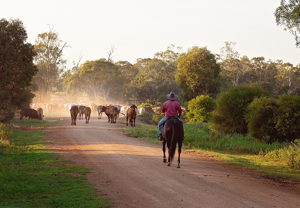 Increasing male engagement in rural and remote centres