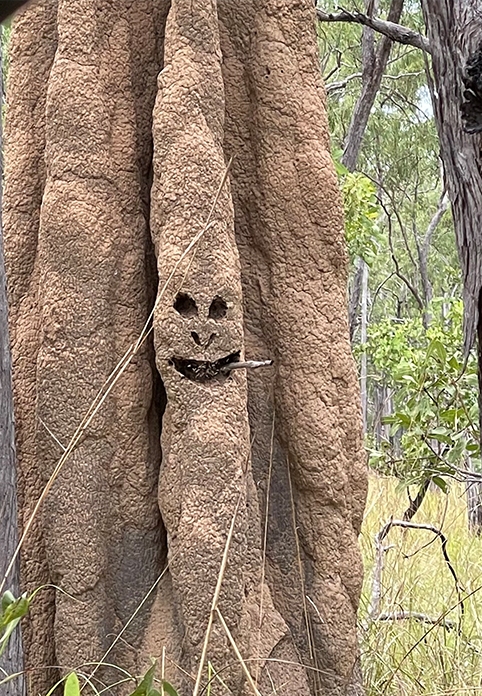 Happy termite mound!